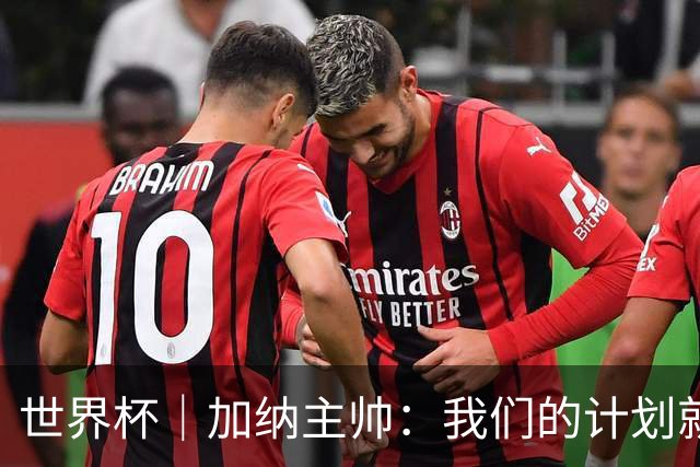 世界杯｜加纳主帅：我们的计划就是让英格兰队受挫