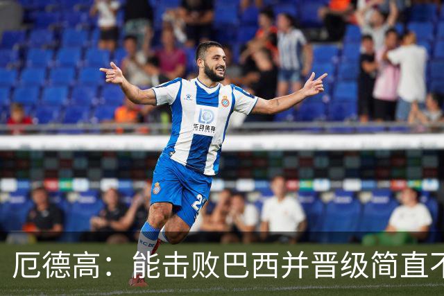 厄德高：能击败巴西并晋级简直不可思议 哈兰德总能制造威胁